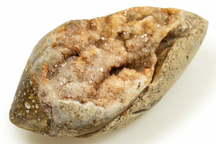 Chalcedony Replaced Gastropod With Sparkly Quartz - India #318718